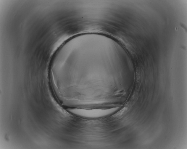 X0000097501422200803071751