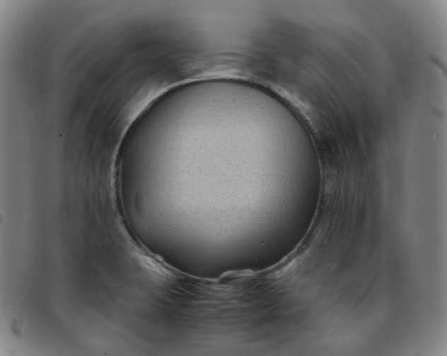 X0000097501423200803071752