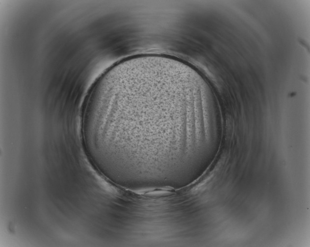 X0000097501424200803071752