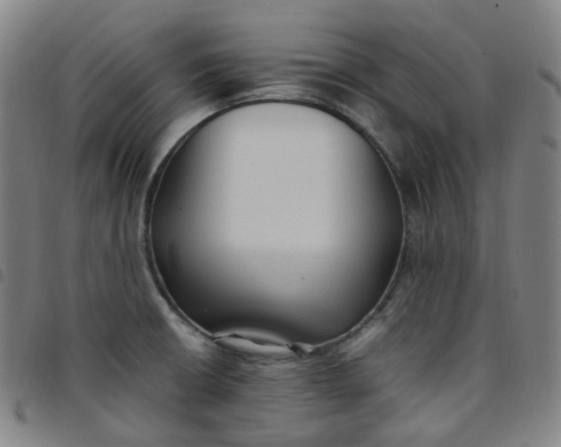 X0000097501426200803071752