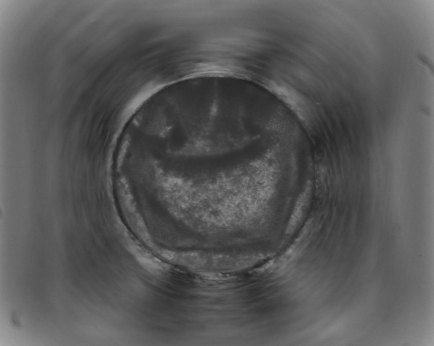 X0000097501427200803071752