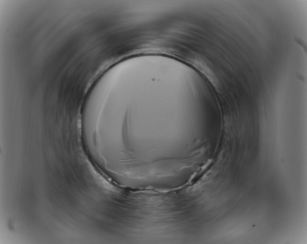 X0000097501428200803071752