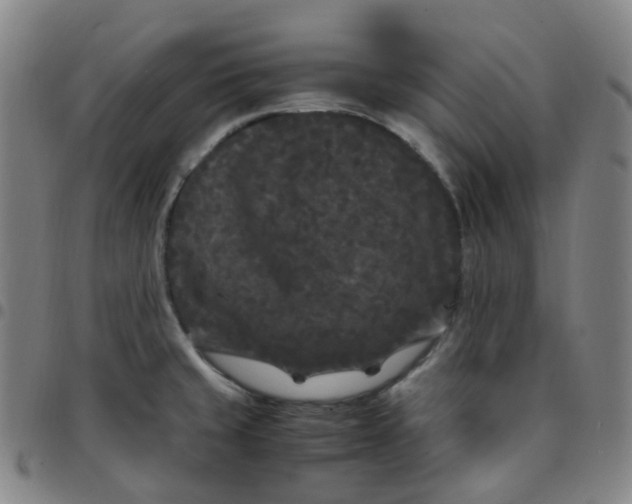X0000097501429200803071752