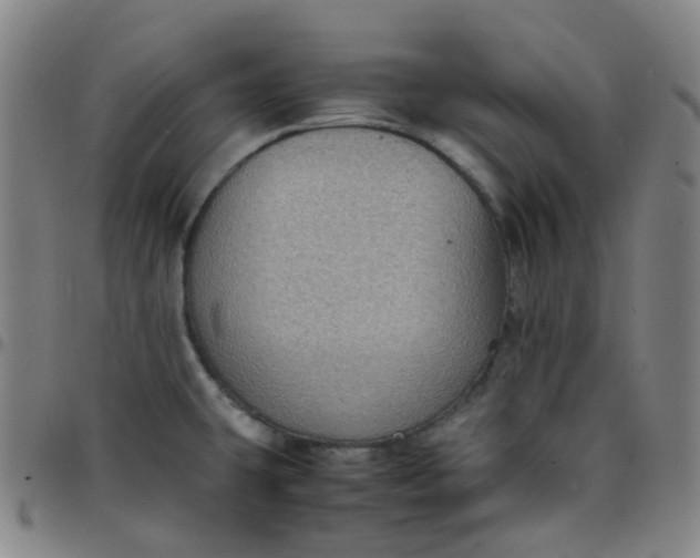 X0000097501431200803071752