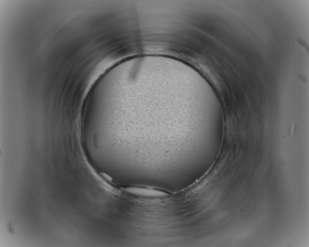 X0000097501432200803071752