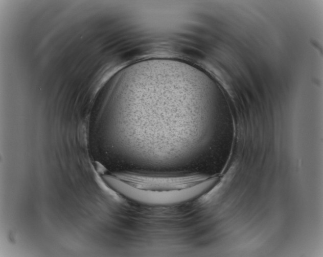 X0000097501433200803071752