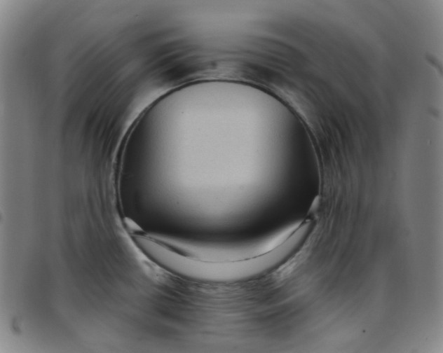 X0000097501434200803071752