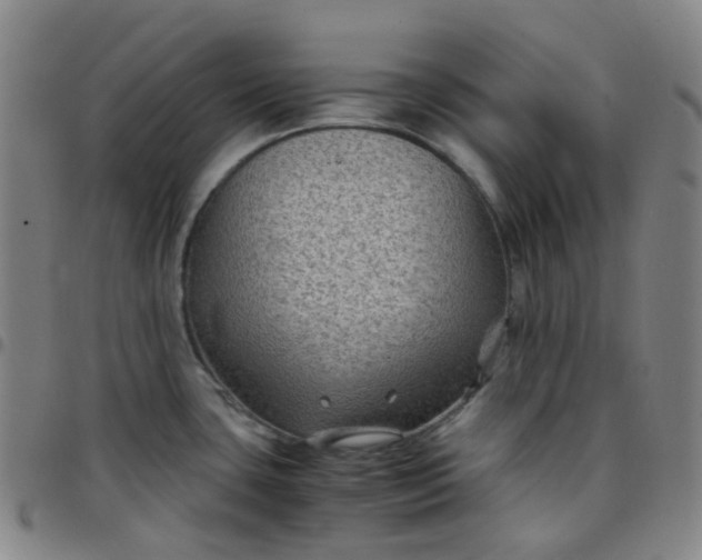 X0000097501435200803071752