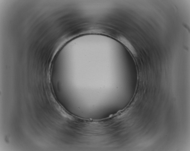 X0000097501436200803071752