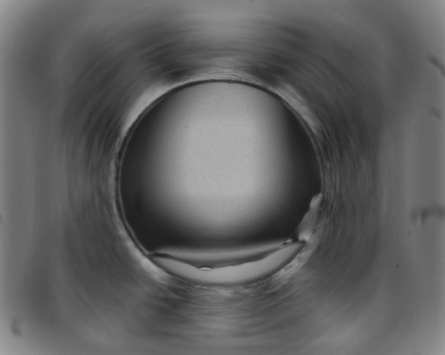 X0000097501438200803071752