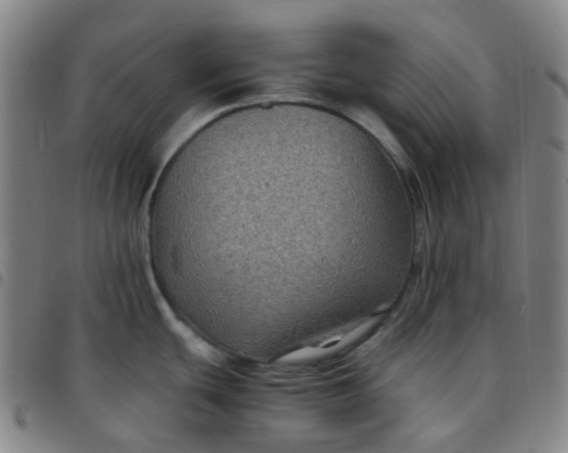 X0000097501439200803071752