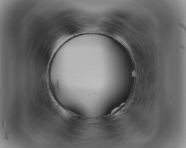 X0000097501440200803071752