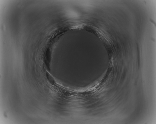 X0000097501441200803071751
