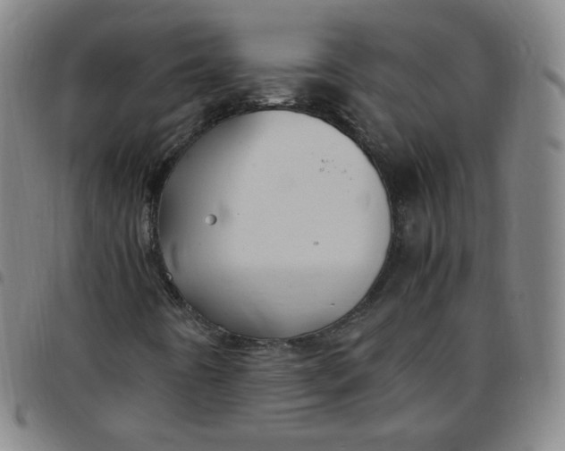 X0000097501442200803071751