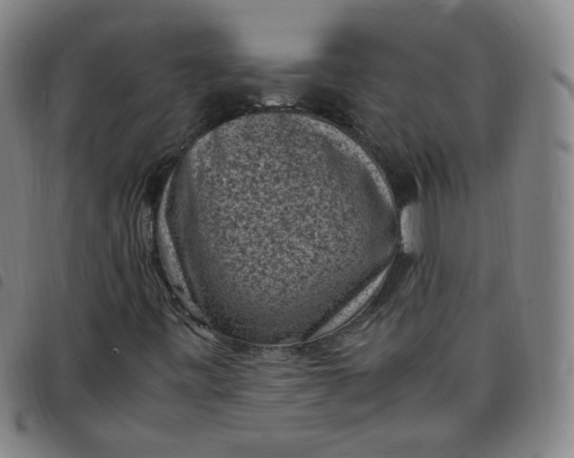 X0000097501443200803071751