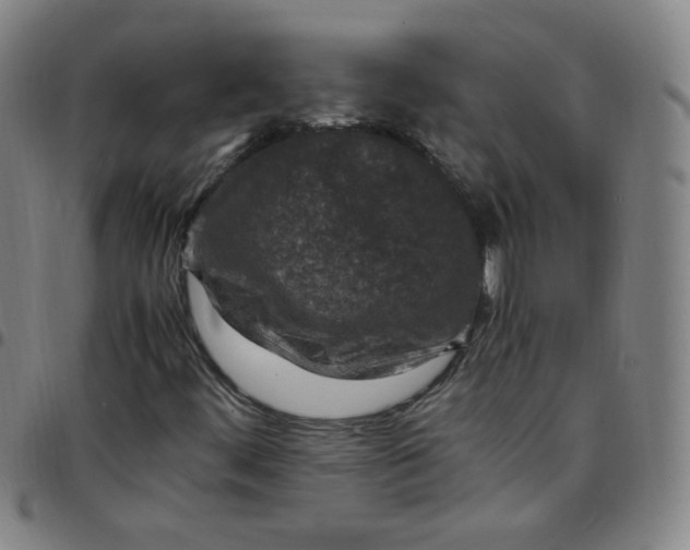 X0000097501444200803071751