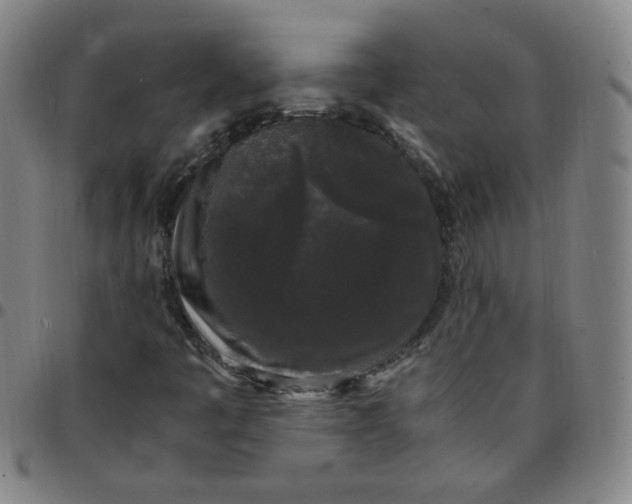 X0000097501445200803071751
