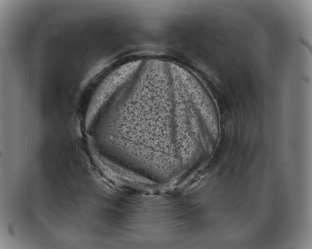 X0000097501448200803071751
