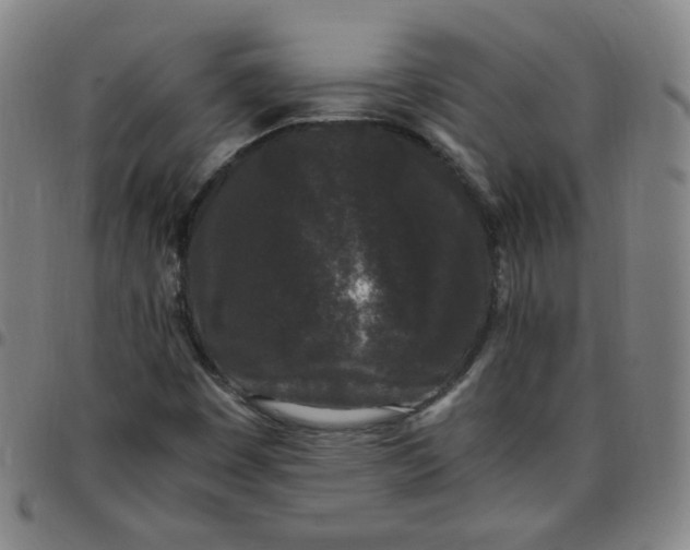 X0000097501449200803071751
