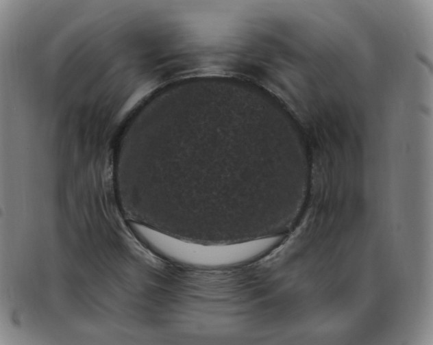 X0000097501450200803071751