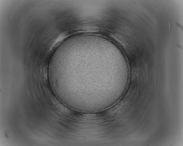 X0000097501451200803071751