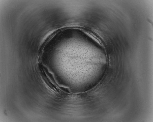 X0000097501452200803071751