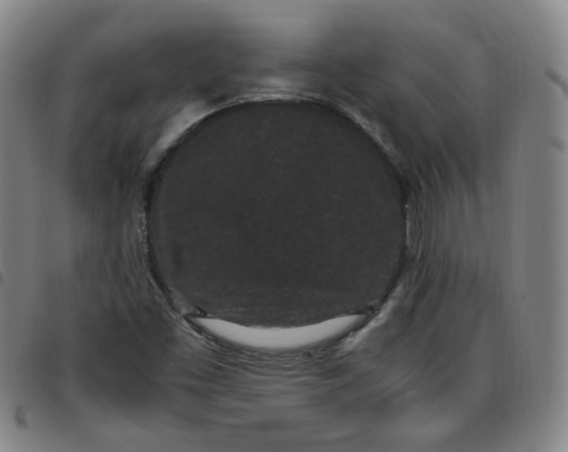 X0000097501453200803071751