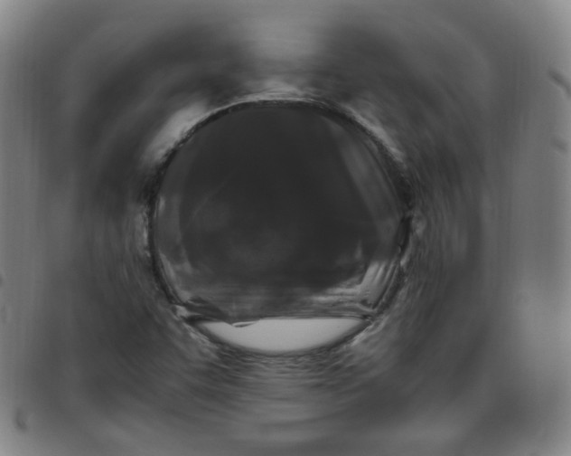 X0000097501455200803071751