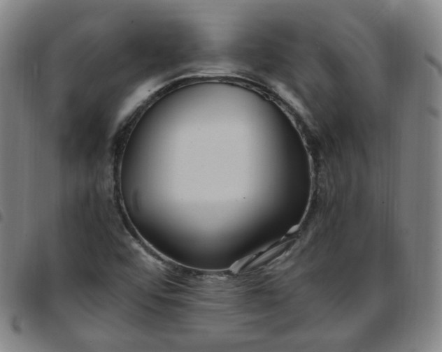 X0000097501456200803071751