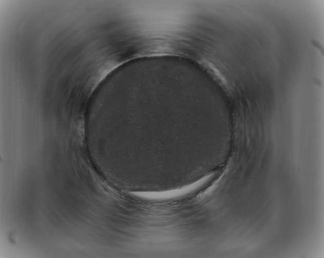 X0000097501457200803071751