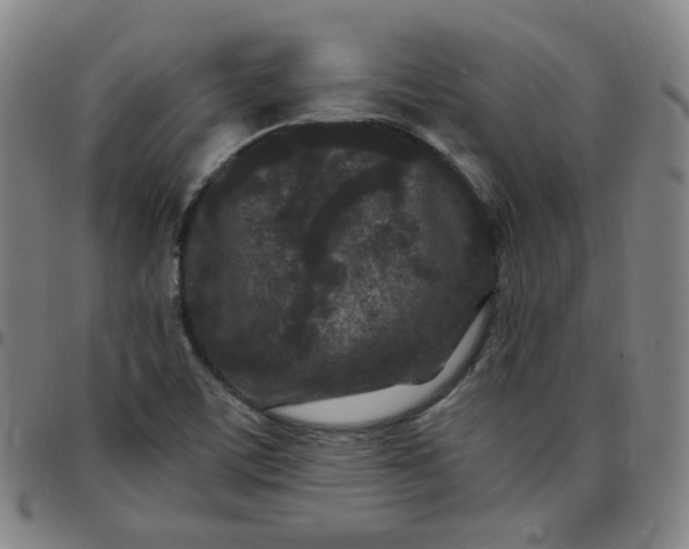 X0000097501459200803071751