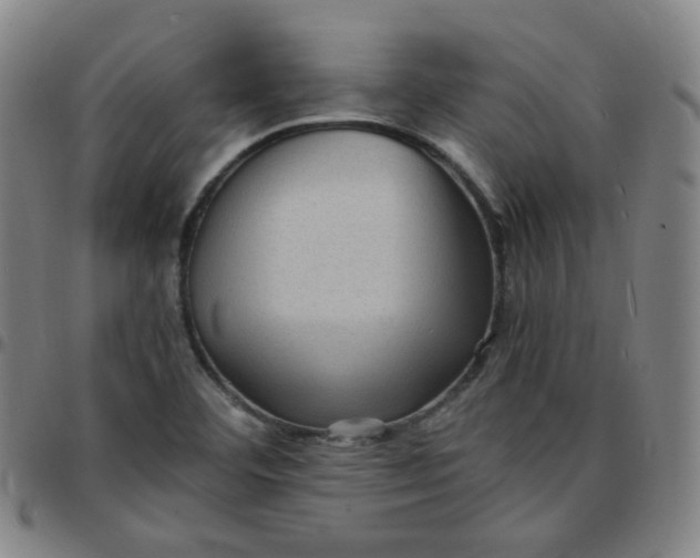 X0000097501460200803071751
