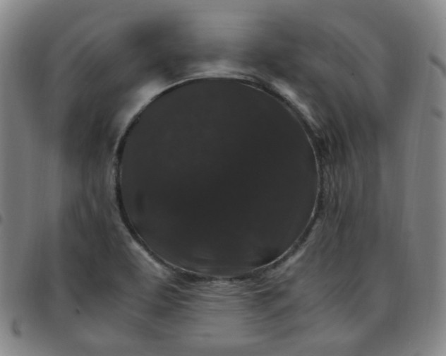 X0000097501463200803071751
