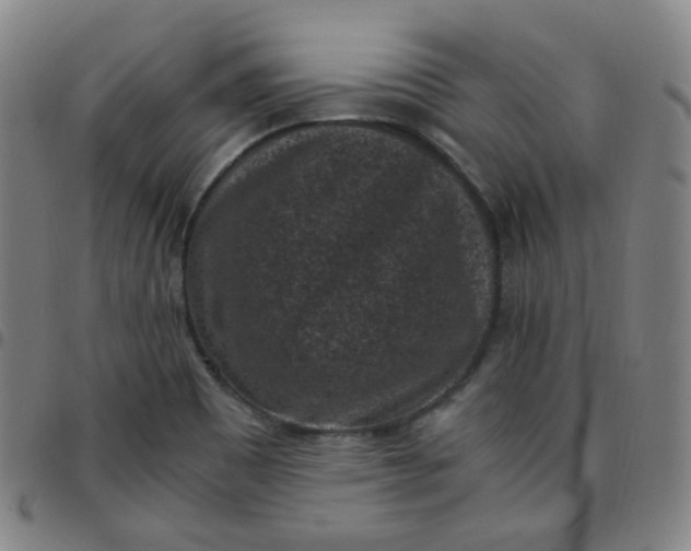 X0000097501465200803071751
