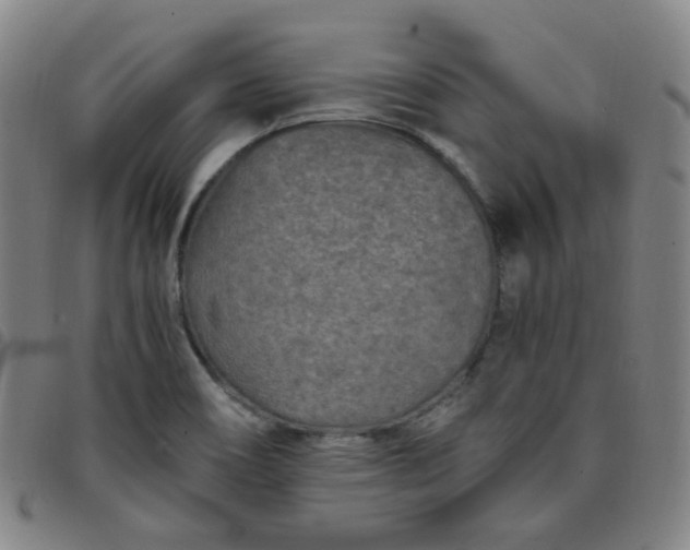 X0000097501466200803071751