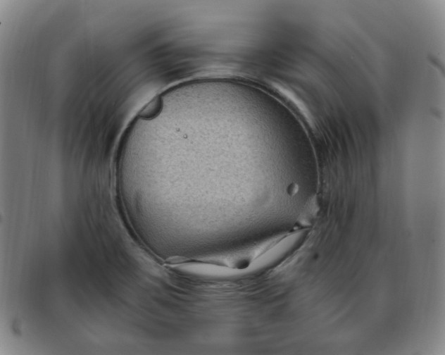 X0000097501467200803071751