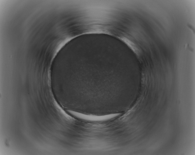 X0000097501468200803071751