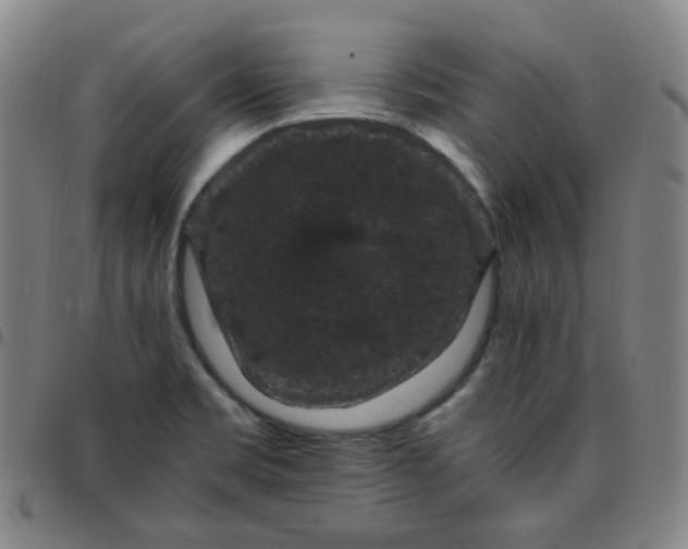 X0000097501469200803071751