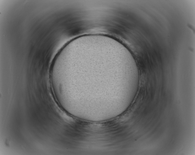 X0000097501470200803071751