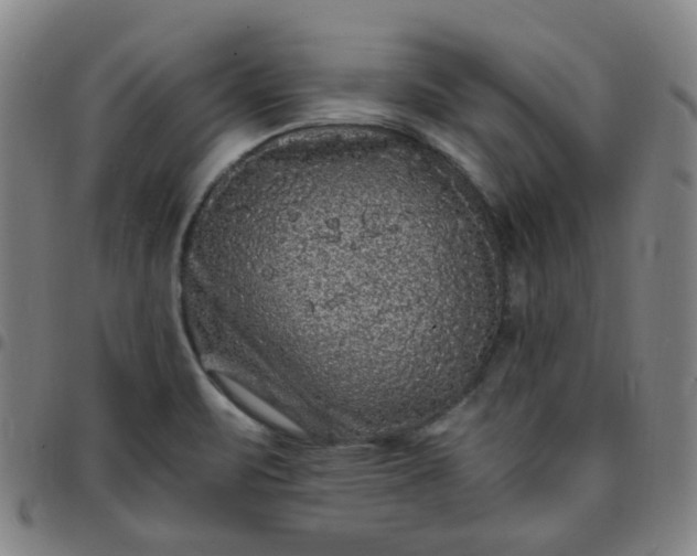 X0000097501471200803071751