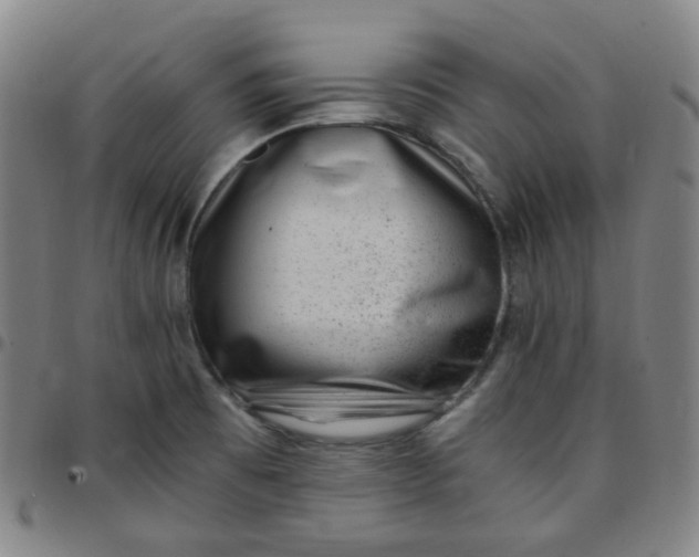 X0000097501473200803071751