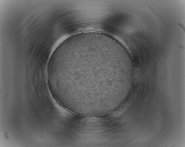 X0000097501474200803071751