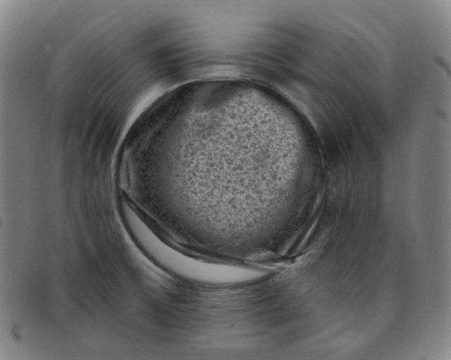 X0000097501475200803071751