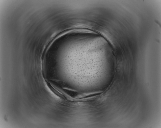 X0000097501476200803071751