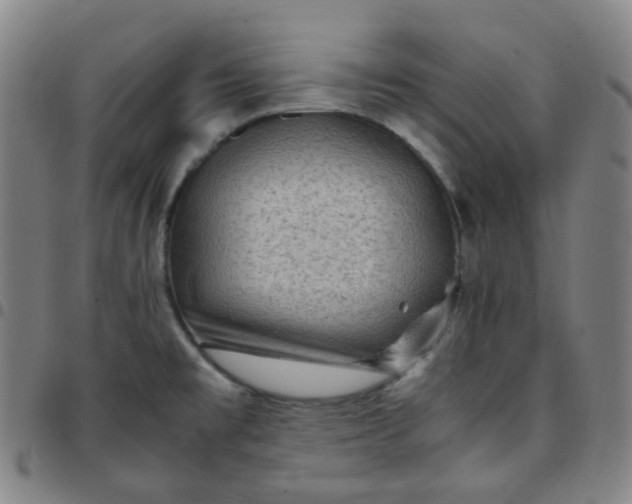X0000097501477200803071751