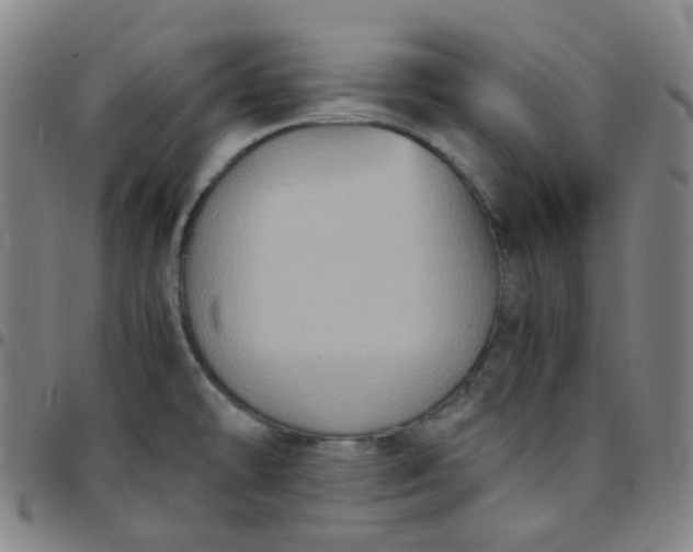 X0000097501478200803071751