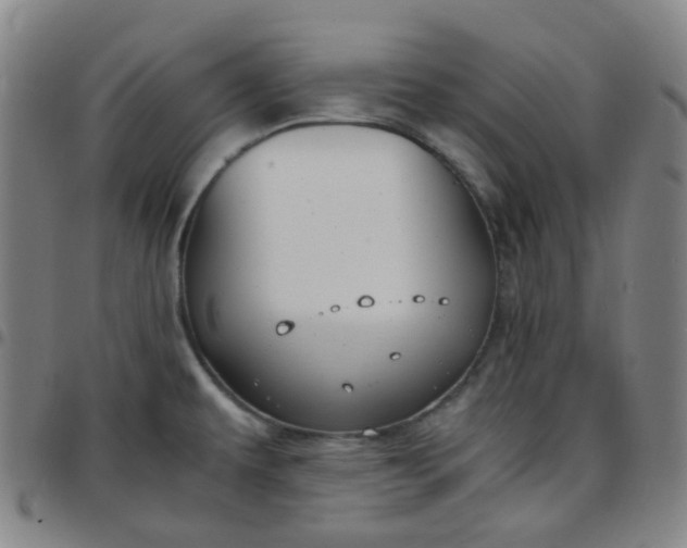 X0000097501479200803071751