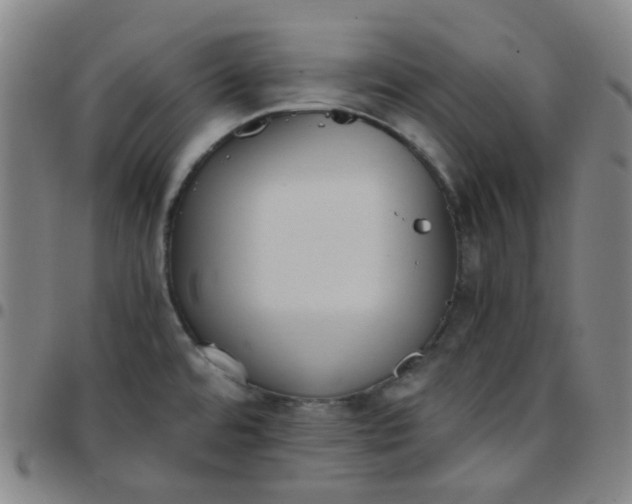 X0000097501480200803071751