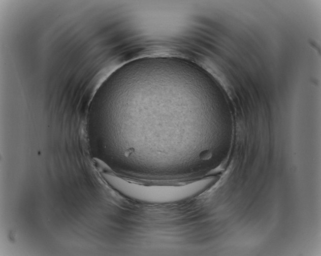 X0000097501481200803071751