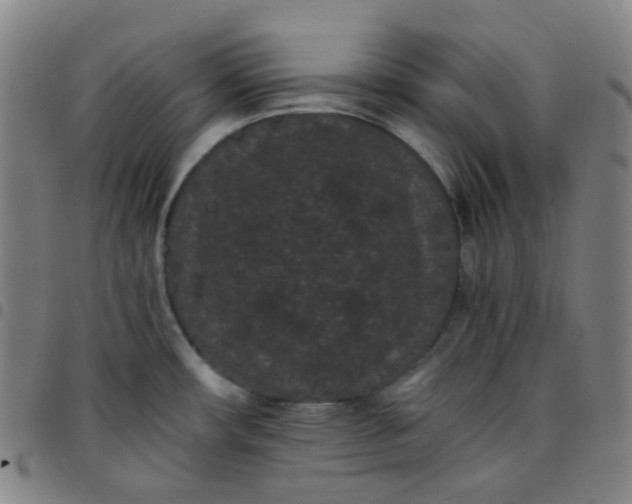X0000097501482200803071751